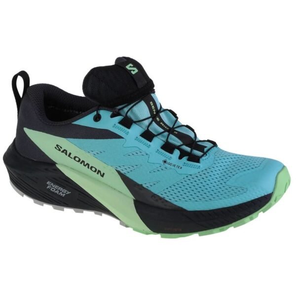 Salomon Sense Ride 5 GTX W 472160 Running Shoes