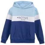 Sweatshirt 4F Jr HJL22 JBLD002 33S
