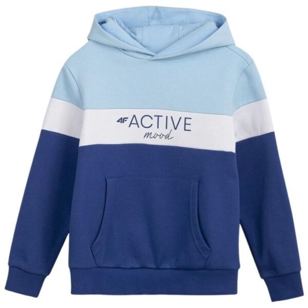 Sweatshirt 4F Jr HJL22 JBLD002 33S