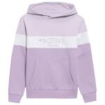 Sweatshirt 4F Jr HJL22 JBLD002 51S
