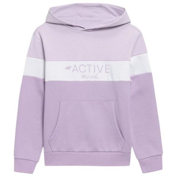 Sweatshirt 4F Jr HJL22 JBLD002 51S