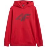Sweatshirt 4F M 4FWMM00TSWSM1766 062S - Image 6
