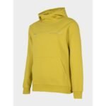 Sweatshirt 4F M H4Z22-BLM023 gold