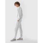 Womens sweatshirt without zipper and hood 4F 4FWMM00TSWSF1765-27M - Image 2