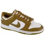 Nike Dunk Low Retro M DV0833-105 shoes