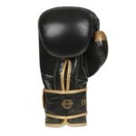 10oz Boxing Gloves - Aureos - Valor Series - Image 6