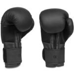 10oz Boxing Gloves - Black Master - Valor Series - Image 8