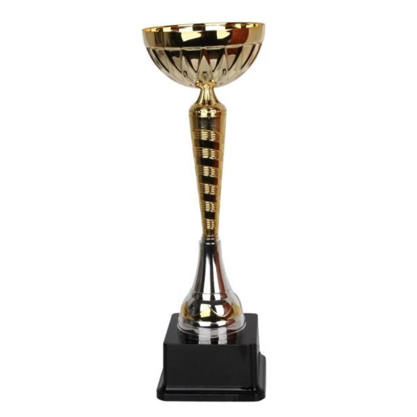 1990 Triumph Cup