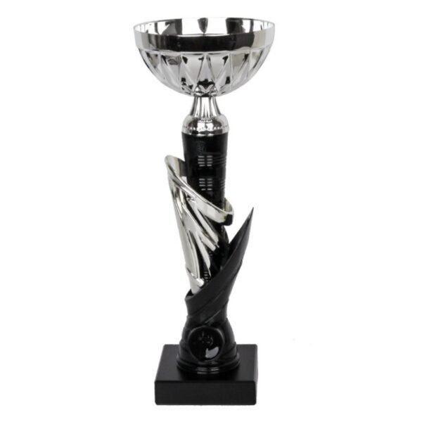 1992 Triumph Cup