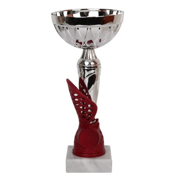 1993 Triumph Cup