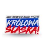 Acrylic magnet Polonia Bytom Coat of Arms - Image 5