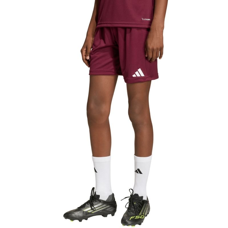 lupin-wear-ca-adidas-entrada-26-burgundy-kids-shorts-jz6527-1937534 adidas Entrada 26 burgundy kids shorts JZ6527 - Image 1