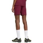 adidas Entrada 26 burgundy kids shorts JZ6527 - Image 3