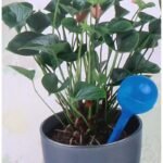 AUTOMATIC WATERING CAN DISPENSER WATERING BALL 250ML BLUE - Image 4