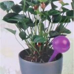 AUTOMATIC WATERING CAN DISPENSER WATERING BALL 250ML PURPLE - Image 4