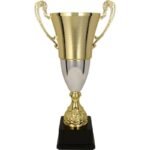 BALTA gold-silver metal cup