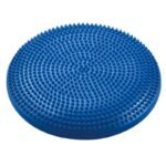 BB 015 Stabilizing Disc