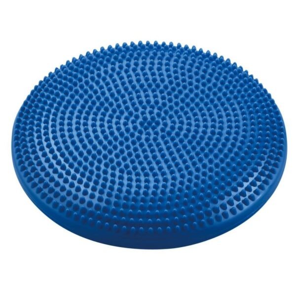BB 015 Stabilizing Disc