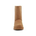 BearPaw Elle Short 1962W-243 ICED COFFEE - Image 2