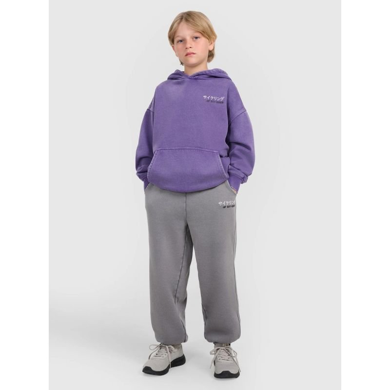 lupin-wear-ca-boys-jogger-sweatpants-4f-4fjraw25ttrom1528-24s-1940369 Boys jogger sweatpants 4F 4FJRAW25TTROM1528-24S - Image 1