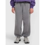 Boys jogger sweatpants 4F 4FJRAW25TTROM1528-24S - Image 5