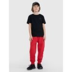 Boys joggers sweatpants 4F 4FJWSS25TTROM1112-62S - Image 2