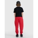 Boys joggers sweatpants 4F 4FJWSS25TTROM1112-62S - Image 3