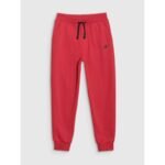 Boys joggers sweatpants 4F 4FJWSS25TTROM1112-62S - Image 4