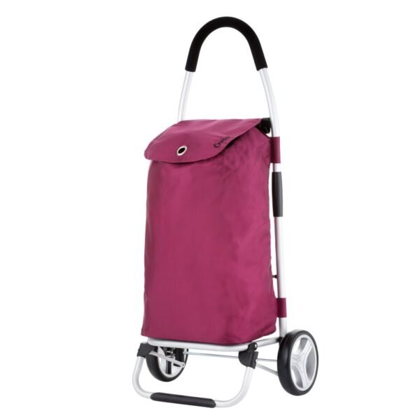 Classic Premium Shopping Cart 604319
