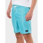 DC All Season Volley 14.5 Youth Shorts SEDBJV03012-BJM0 - Image 2
