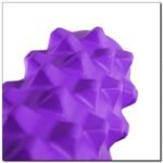 Fitness Roller HMS PURPLE FS107 - Image 5