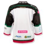 GKS Tychy 24/25 M match jersey replica SREBGKSREP25 - Image 4