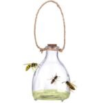 GLASS WASP TRAP 2 PCS KINZO - Image 2