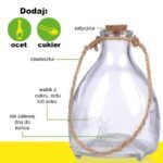 GLASS WASP TRAP 2 PCS KINZO - Image 4