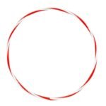Hula-hoop wheel HP-DT2024 61 cm - Image 4