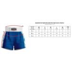 Kick Light Training Shorts MASTERS (WAKO APPROVED) - Image 5