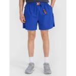 Mens casual shorts 4F 4FWSS25TSHOM533-36S