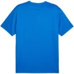 Mens Puma TeamGoal Jersey blue 658636 02 - Image 2