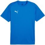 Mens Puma TeamGoal Jersey blue 658636 02