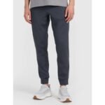 Mens quick-drying training pants 4F 4FWMM00TFTRM1067-22M