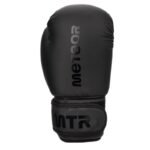 Meteor 10 oz Training Boxing Gloves, Velcro, PU - Image 3