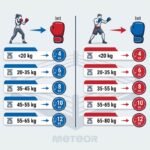 Meteor 10 oz Training Boxing Gloves, Velcro, PU - Image 7