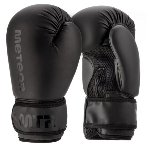 Meteor 12 oz Training Boxing Gloves, Velcro, PU