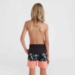 ONeil Mix Match Cali Block 13 Swim Shorts Jr 92800613811 - Image 4