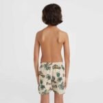 ONeil Mix Match Cali Print 13 Swim Shorts Jr 92800613864 - Image 4