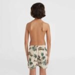 ONeil Mix Match Cali Print 13 Swim Shorts Jr 92800613864 - Image 8