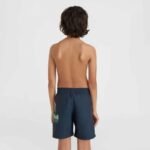 ONeill Circle Surfer 14" Swim Shorts Jr 92800613201 - Image 8