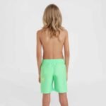 ONeill Circle Surfer 14" Swim Shorts Jr 92800613206 - Image 4