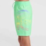 ONeill Circle Surfer 14" Swim Shorts Jr 92800613206 - Image 5