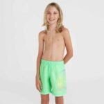 ONeill Circle Surfer 14" Swim Shorts Jr 92800613206 - Image 7